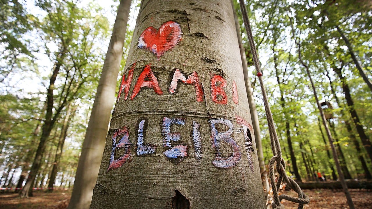 "Hambi bleibt" - zumindest vorläufig.