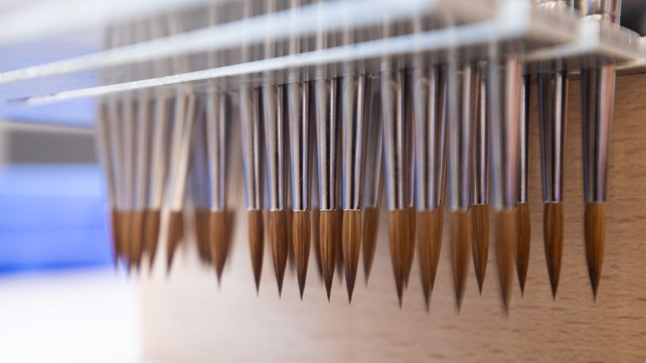 Pinsel-Köpfe hängen in der Werkstatt der Zahn Pinsel GmbH in einer Vorrichtung.