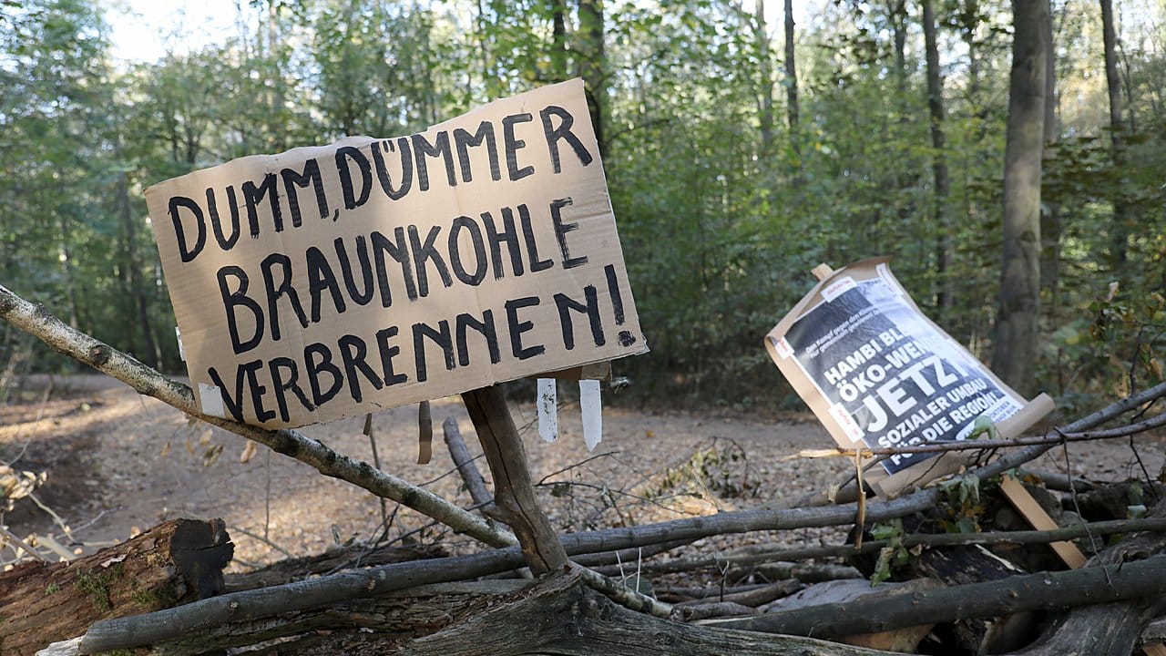 Plakate hängen an Barrikaden im Hambacher Forst.
