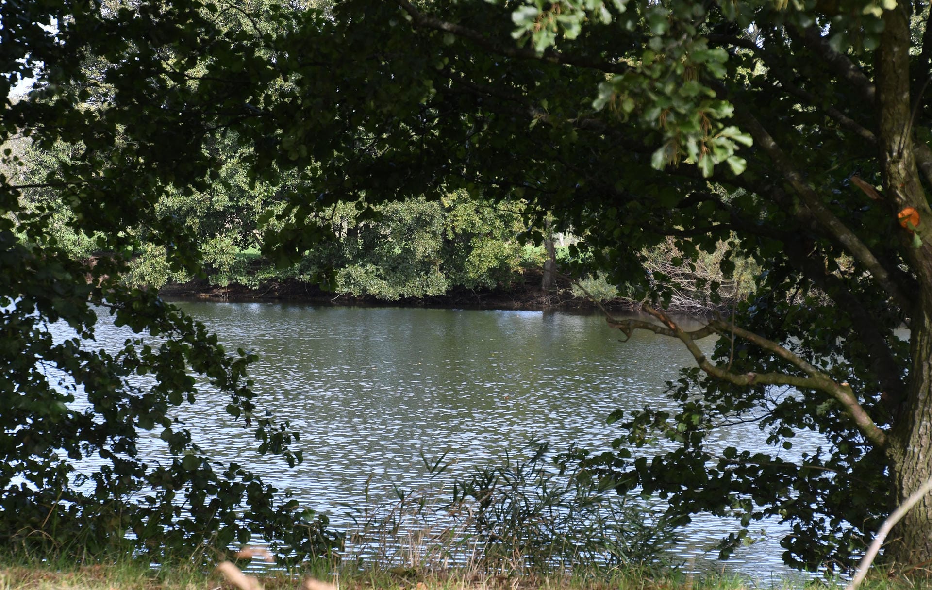 Tietjensee in Schwanewede: Die Polizei vermutet, dass in diesem See die Leiche einer Frau liegt. Tietjensee in Schwanewede: Die Polizei vermutet, dass in diesem See die Leiche einer Frau liegt.