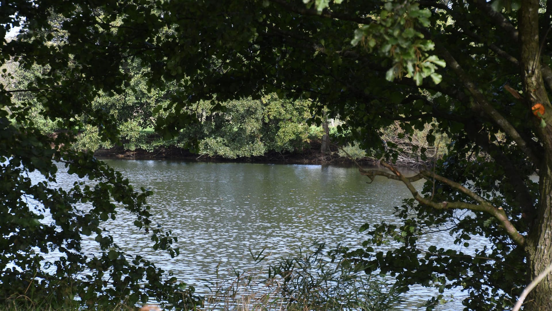 Tietjensee in Schwanewede: Die Polizei vermutet, dass in diesem See die Leiche einer Frau liegt.