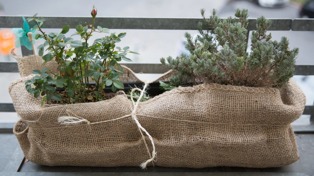 Eingepackt durch den Winter: Viele Pflanzen auf der Terrasse sollten Hobbygärtner in der kalten Jahreszeit nicht sich selbst überlassen.