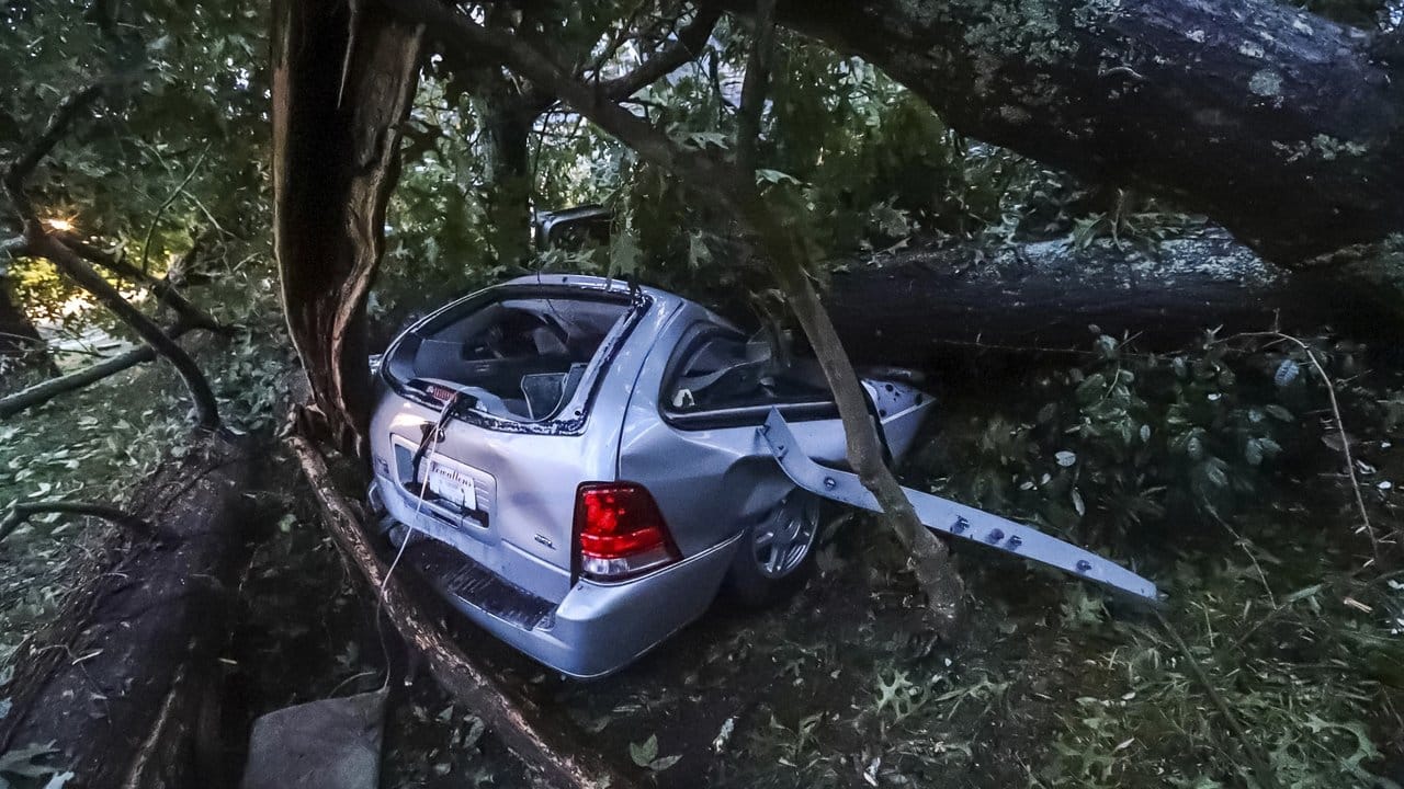 Ein Baum ist in Atlanta auf ein Auto gestürzt.