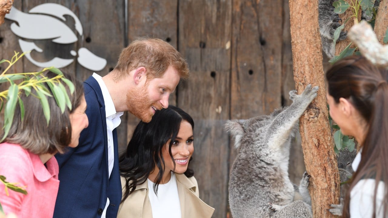 Prinz Harry und Herzogin Meghan sehen sich im Taronga Zoo den weiblichen Koala "Ruby" an, die ein nach Meghan benanntes junges mit dem Namen "Joey Meghan" geboren hatte. Prinz Harry und Herzogin Meghan sehen sich im Taronga Zoo den weiblichen Koala "Ruby" an, die ein nach Meghan benanntes junges mit dem Namen "Joey Meghan" geboren hatte.