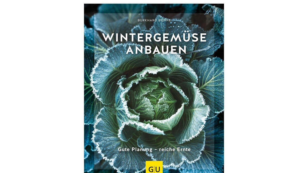 Gärtnermeister Burkhard Bohne empfiehlt für die Ernte von Wintergemüse einen Zeitpunkt mit möglichst wenig Frost.