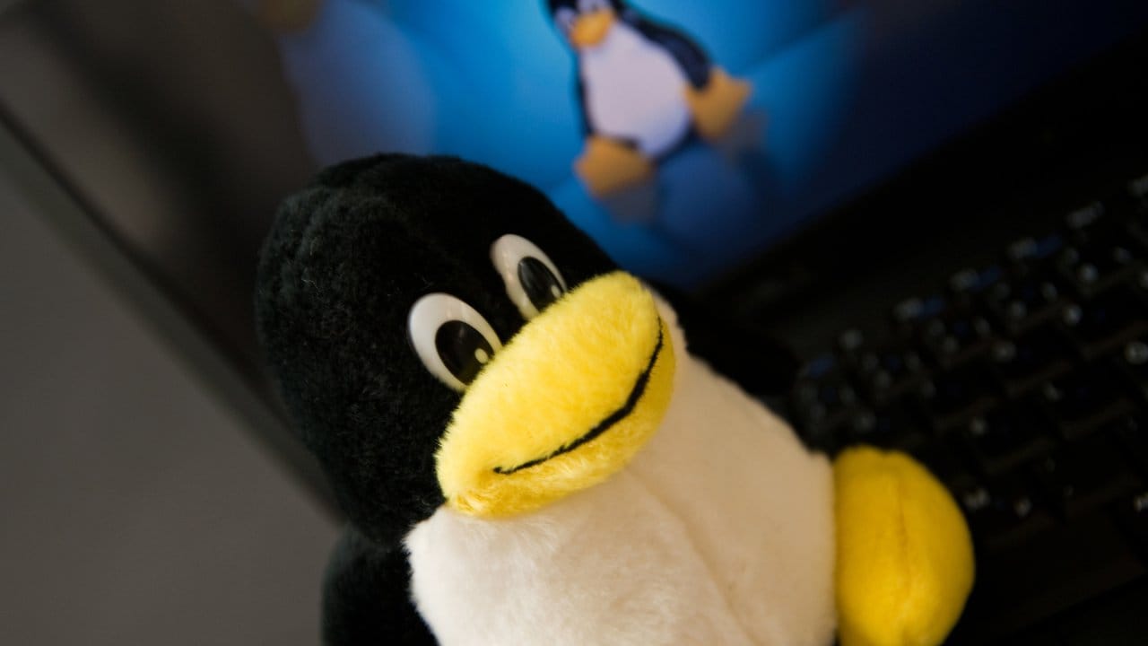 Freundlicher Geselle: Das Linux-Maskottchen ist ein Pinguin. Freundlicher Geselle: Das Linux-Maskottchen ist ein Pinguin.