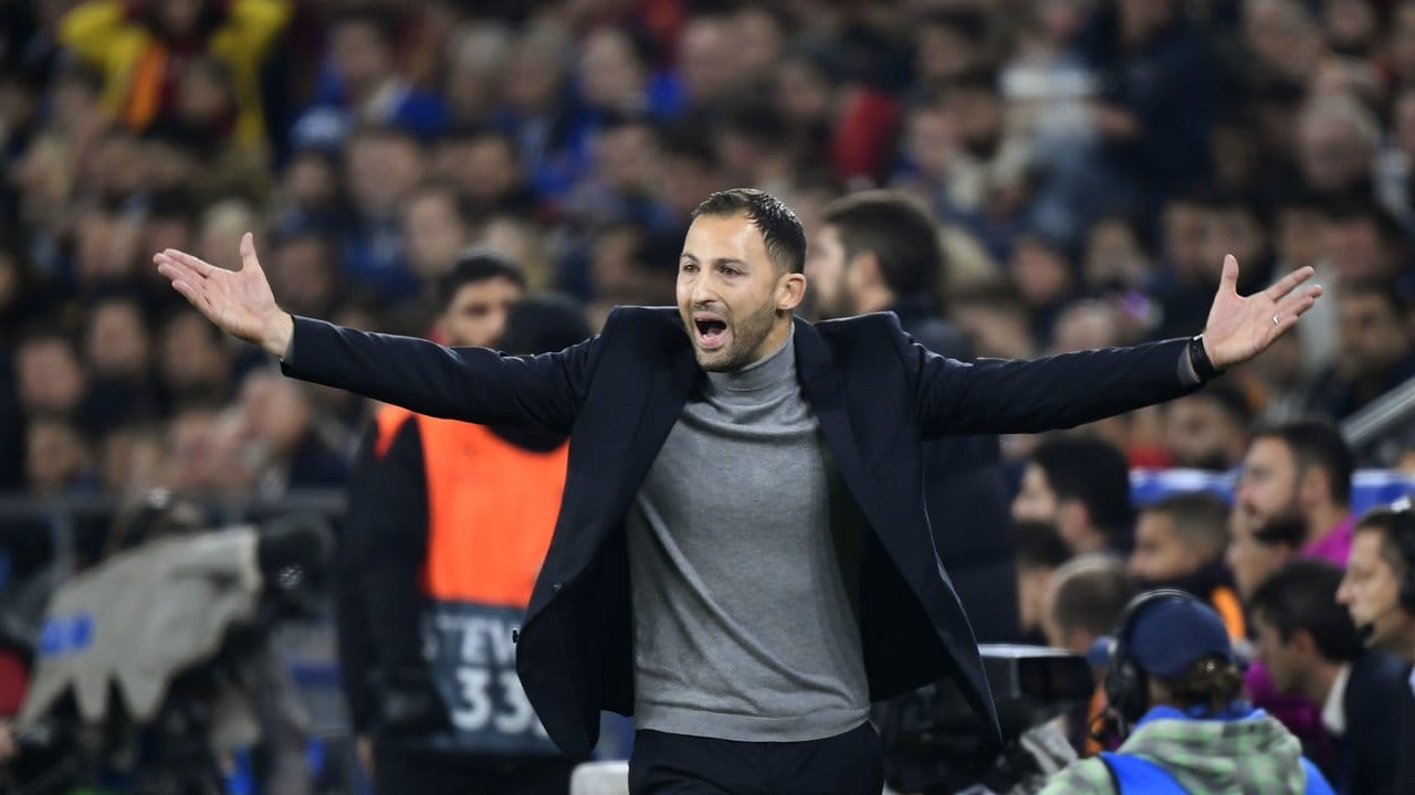 Schalke-Trainer Domenico Tedesco fieberte an der Seitenlinie mit. Schalke-Trainer Domenico Tedesco fieberte an der Seitenlinie mit.