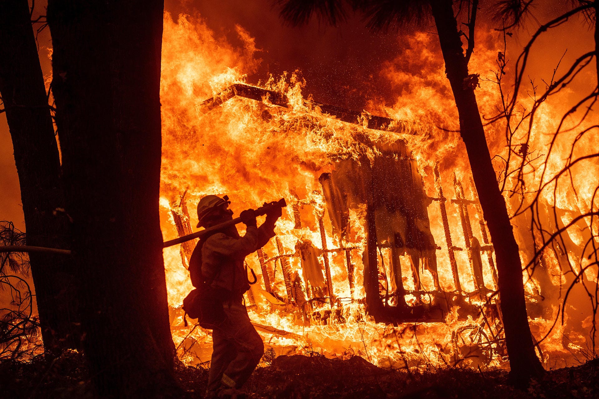 Ein Feuerwehrmann kämpft gegen die Flammen: Bei dem Großbrand sind Tausende Feuerwehrleute im Einsatz.