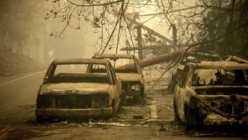 Die schweren Waldbrände in Kalifornien haben verheerende Schäden angerichtet.
