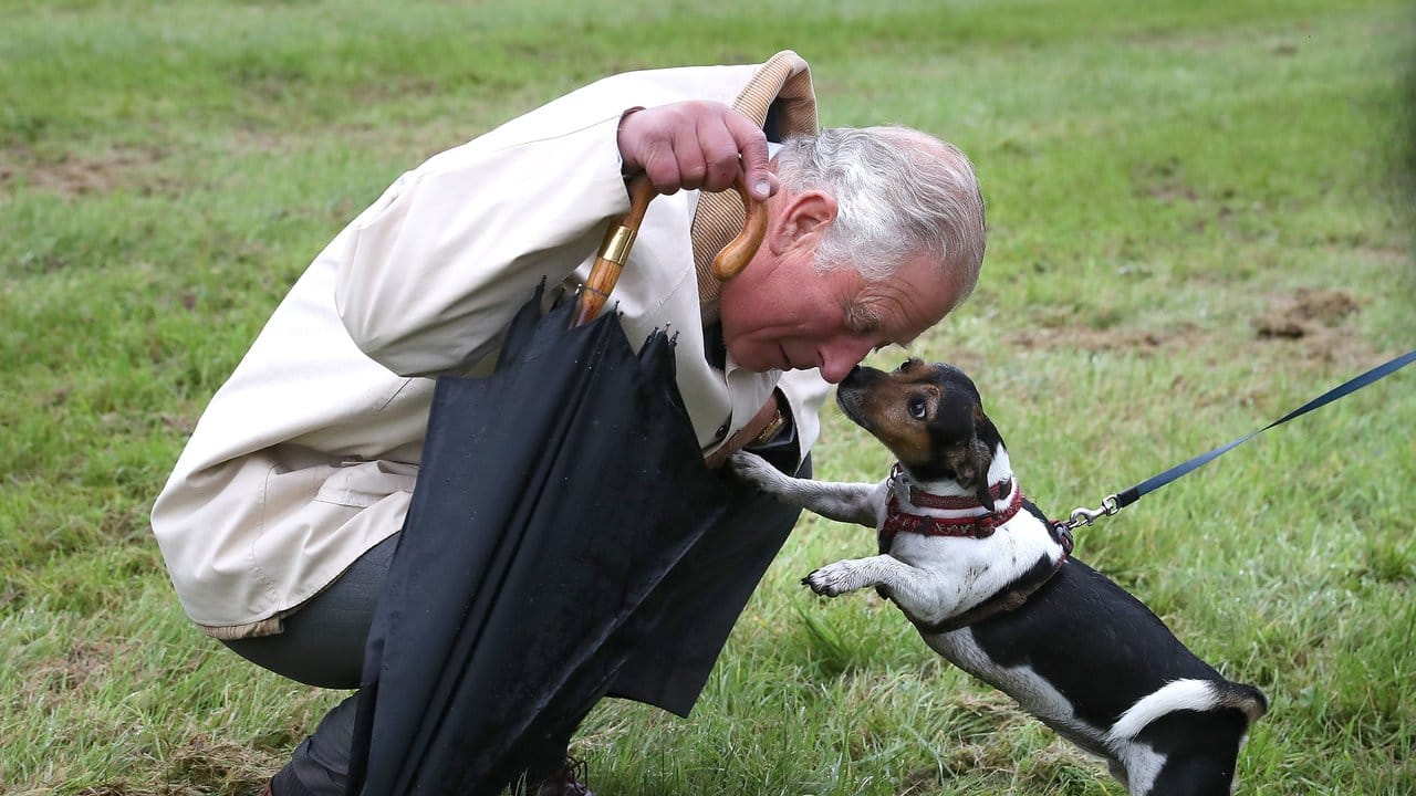 Freudige Begrüßung: Charles und "Beth", der Hund von Herzogin Camilla. Freudige Begrüßung: Charles und "Beth", der Hund von Herzogin Camilla.