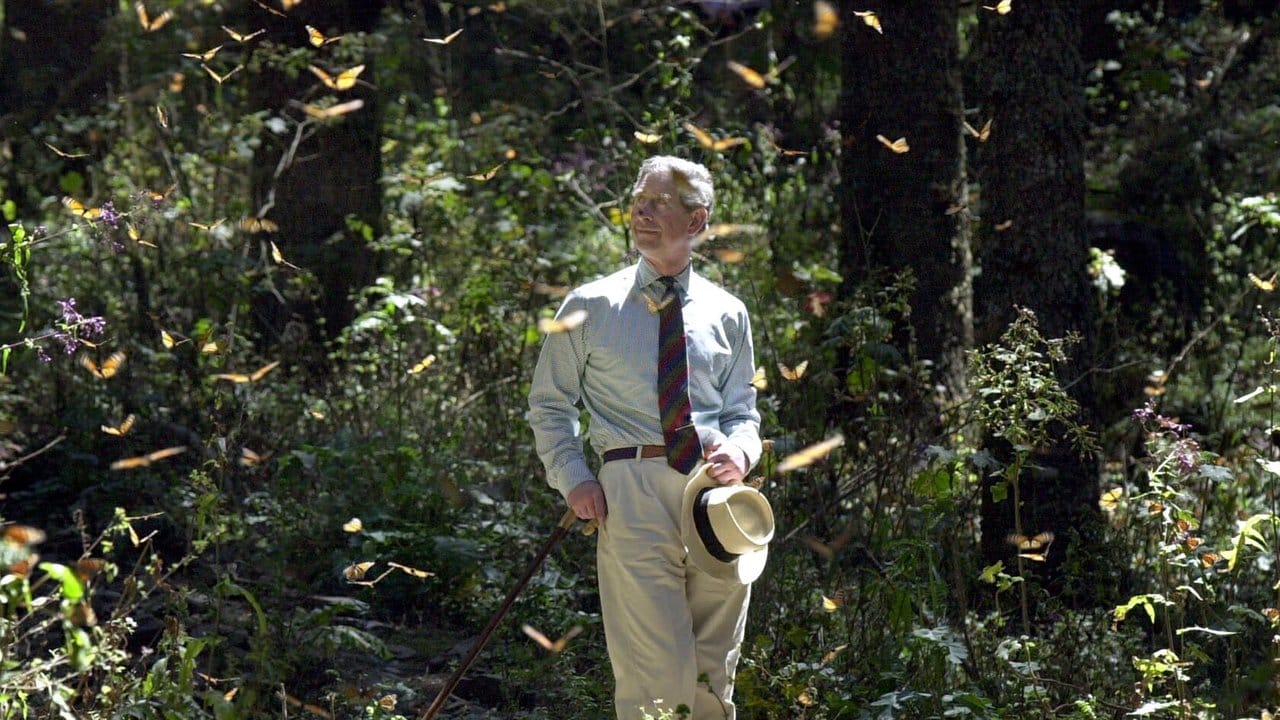 Prinz Charles ist ein engagierter Umweltschützer.