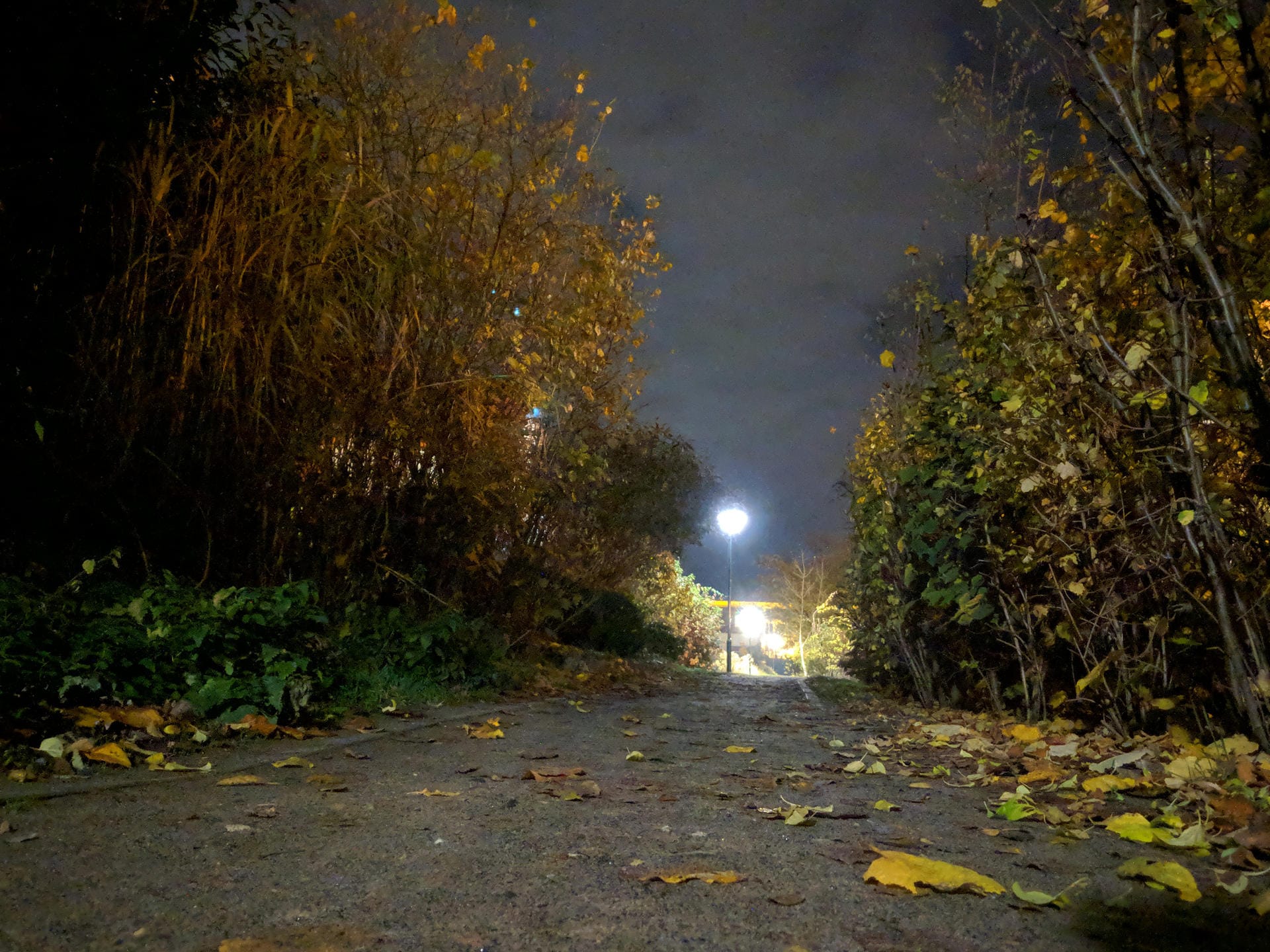 Weg bei Nacht mit Nachtsicht-Modus: Die Bilder sind deutlich heller, und Details, die im Dunkeln verborgen blieben, treten plötzlich zu Tage.