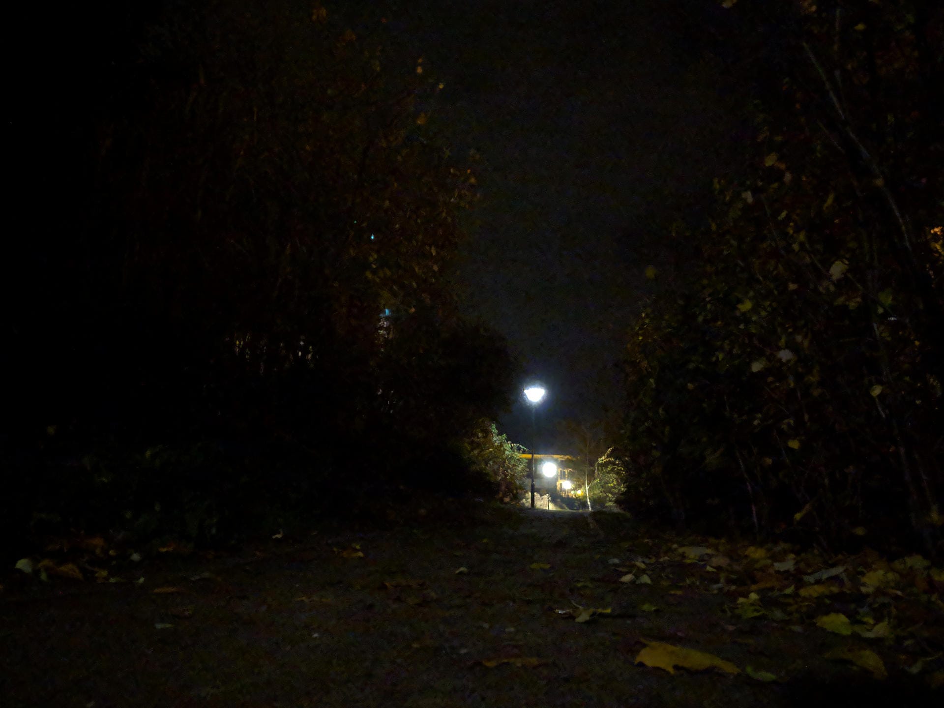 Weg bei Nacht ohne Nachtsicht-Modus: Schon in der Standardeinstellung liefert die Kamera des Pixel 3 außergewöhnlich gute Fotos bei wenig Licht, obwohl sie nur über ein Objektiv verfügt.