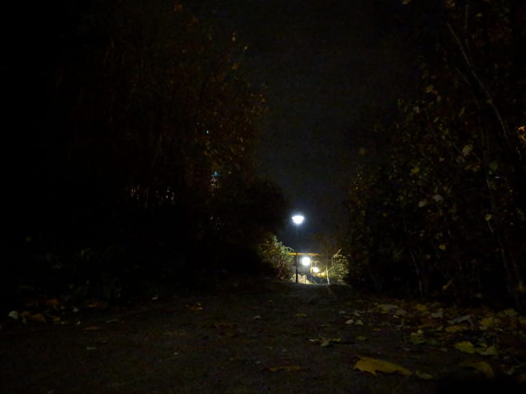 Weg bei Nacht ohne Nachtsicht-Modus: Schon in der Standardeinstellung liefert die Kamera des Pixel 3 außergewöhnlich gute Fotos bei wenig Licht, obwohl sie nur über ein Objektiv verfügt.