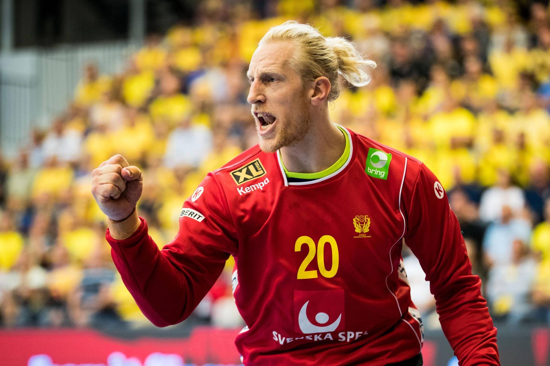 Schweden: Bei der EM 2018 wurde Schweden überraschend Zweiter. Und bei der WM? (Im Bild: Torwart Mikael Appelgren)