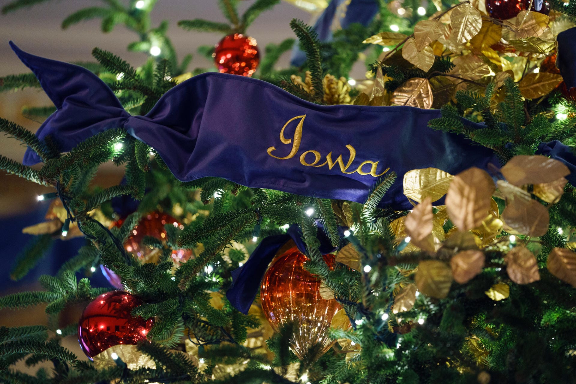 Ein blauer Weihnachtsanhänger mit dem Namen des US-Staats Iowa am großen Weihnachtsbaum des Weißen Hauses: Mehr als 500 blaue Samtbänder zieren den Baum.