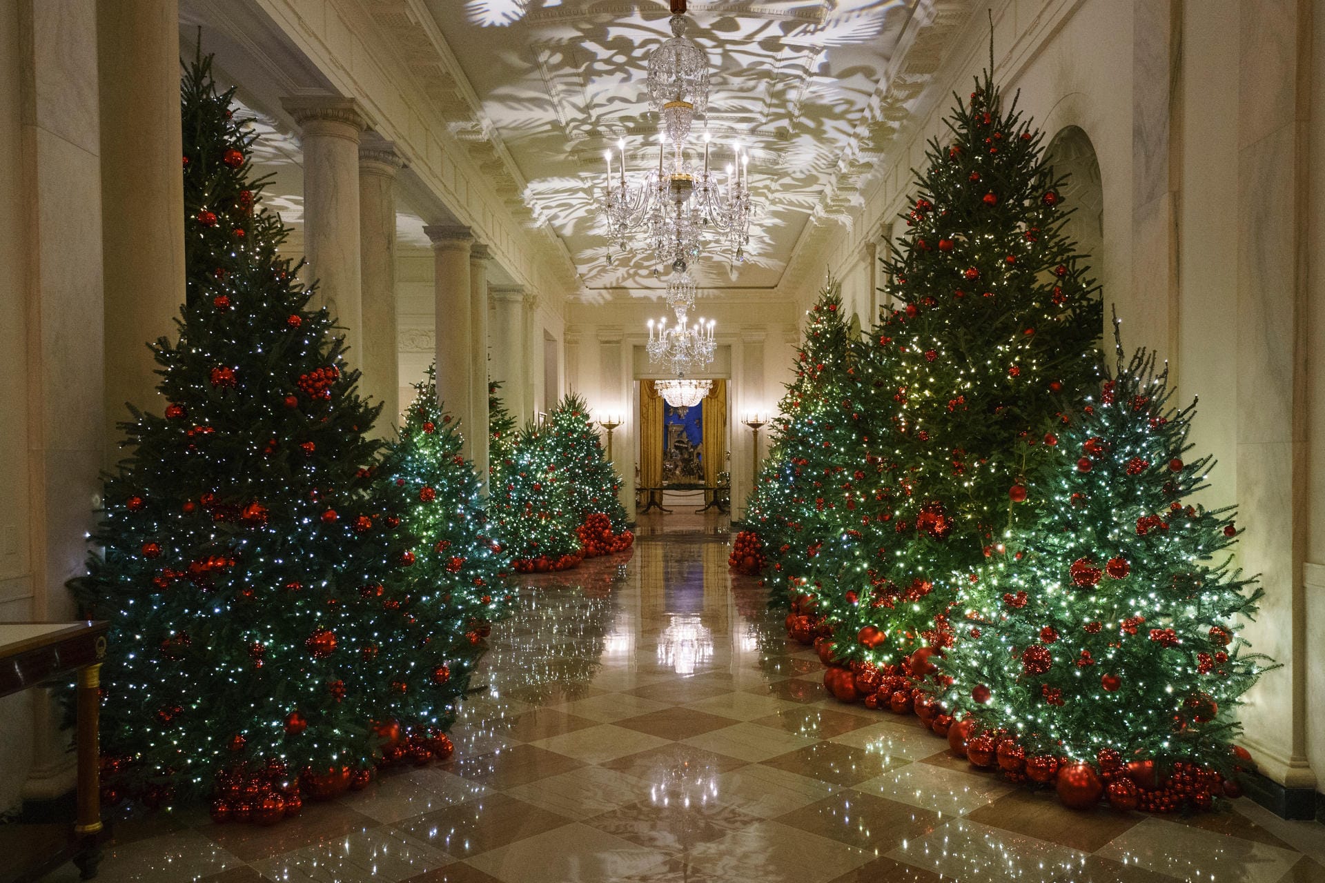 Weihnachtsbäume in der Eingangshalle des Weißen Hauses: Insgesamt 29 Bäume zieren das Weiße Haus während der Weihnachtszeit.