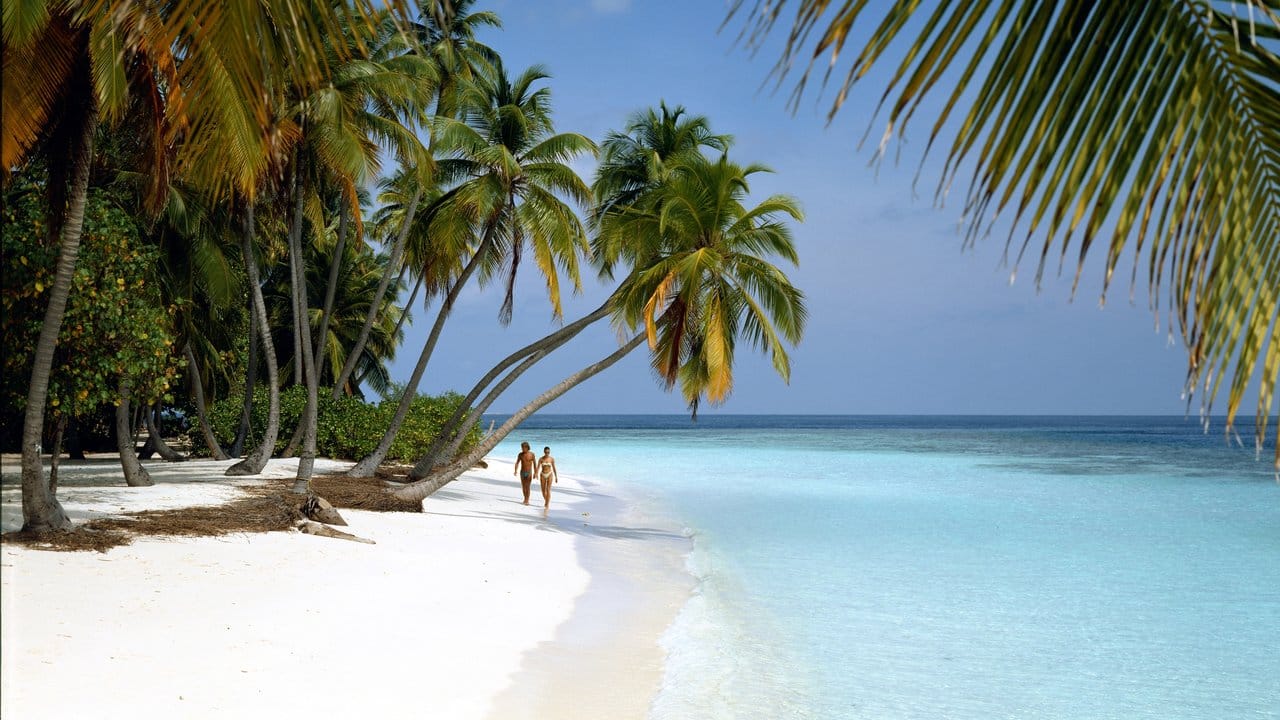Bedrohtes Paradies: Einsamer Palmenstrand auf der Malediven-Insel Little Bandos.