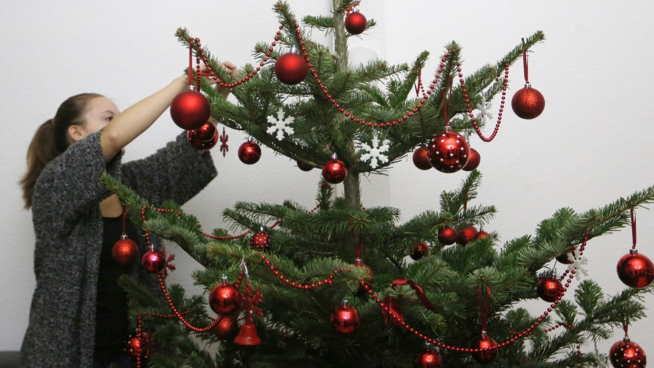 Wer mehrere Farben am Weihnachtsbaum unterbringen möchte, sollte auf ein ausgewogenes Verhältnis und eine gleichmäßige Verteilung am Baum achten.