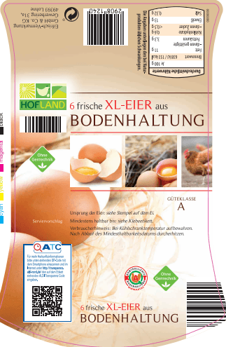 Hofland 6er XL Eier aus Bodenhaltung: Vom Rückruf sind Produkte von Aldi Nord in den Regionalgesellschaften Horst und Großbeeren betroffen.