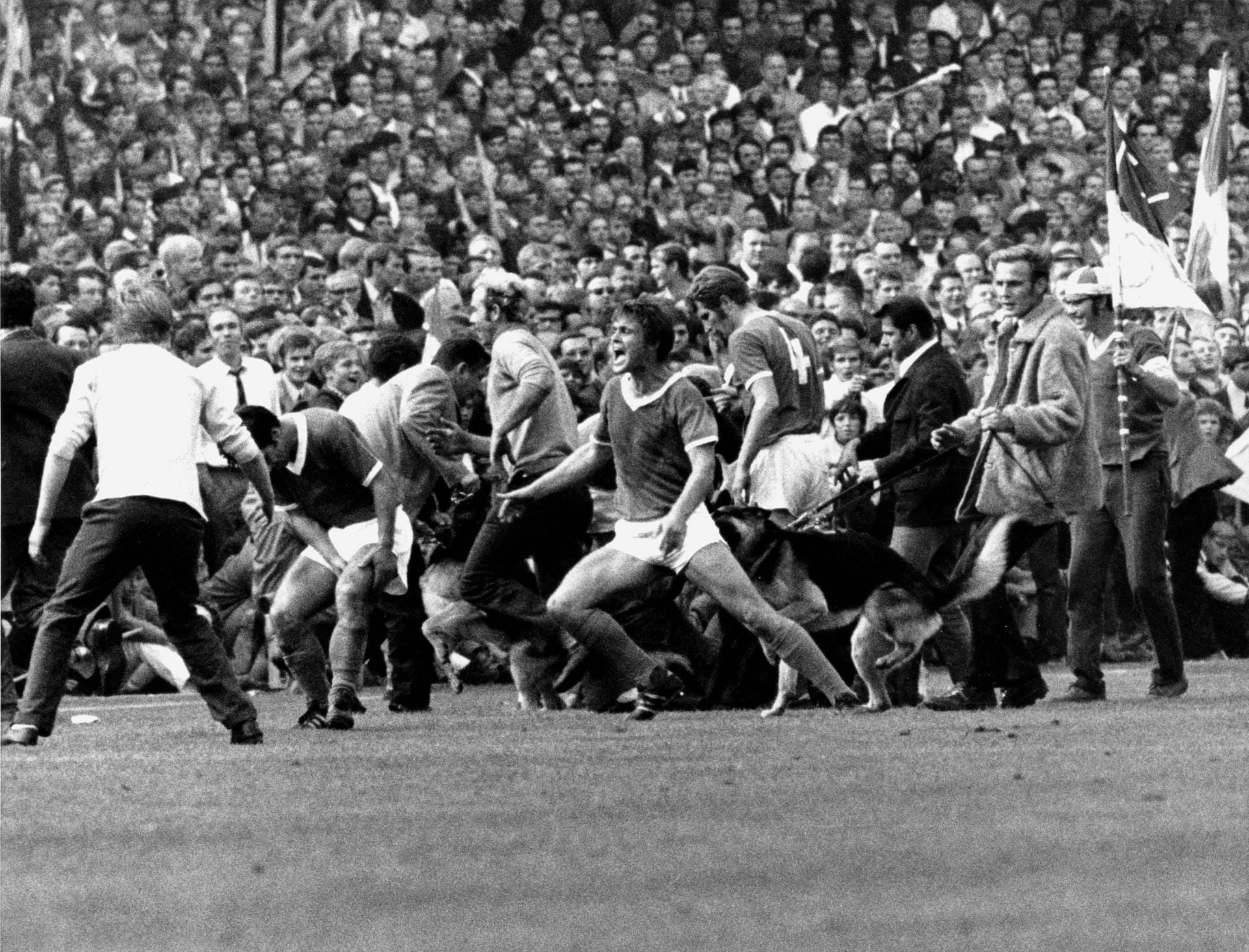 September 1969 das legendäre Derby im Dortmunder Stadion Rote Erde: Schalkes Friedel Rausch wird während des Spiels von einem Schäferhund gebissen. Das Spiel endet 1:1 – für Rausch mit einer Narbe am Po.