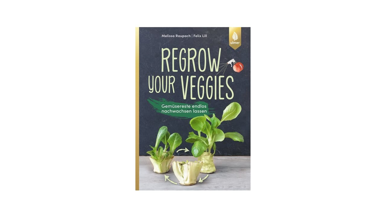 Melissa Raupach und Felix Lill: Regrow your veggies - Gemüsereste endlos nachwachsen lassen, Verlag Eugen Ulmer, Stuttgart, 2018, 128 S.
