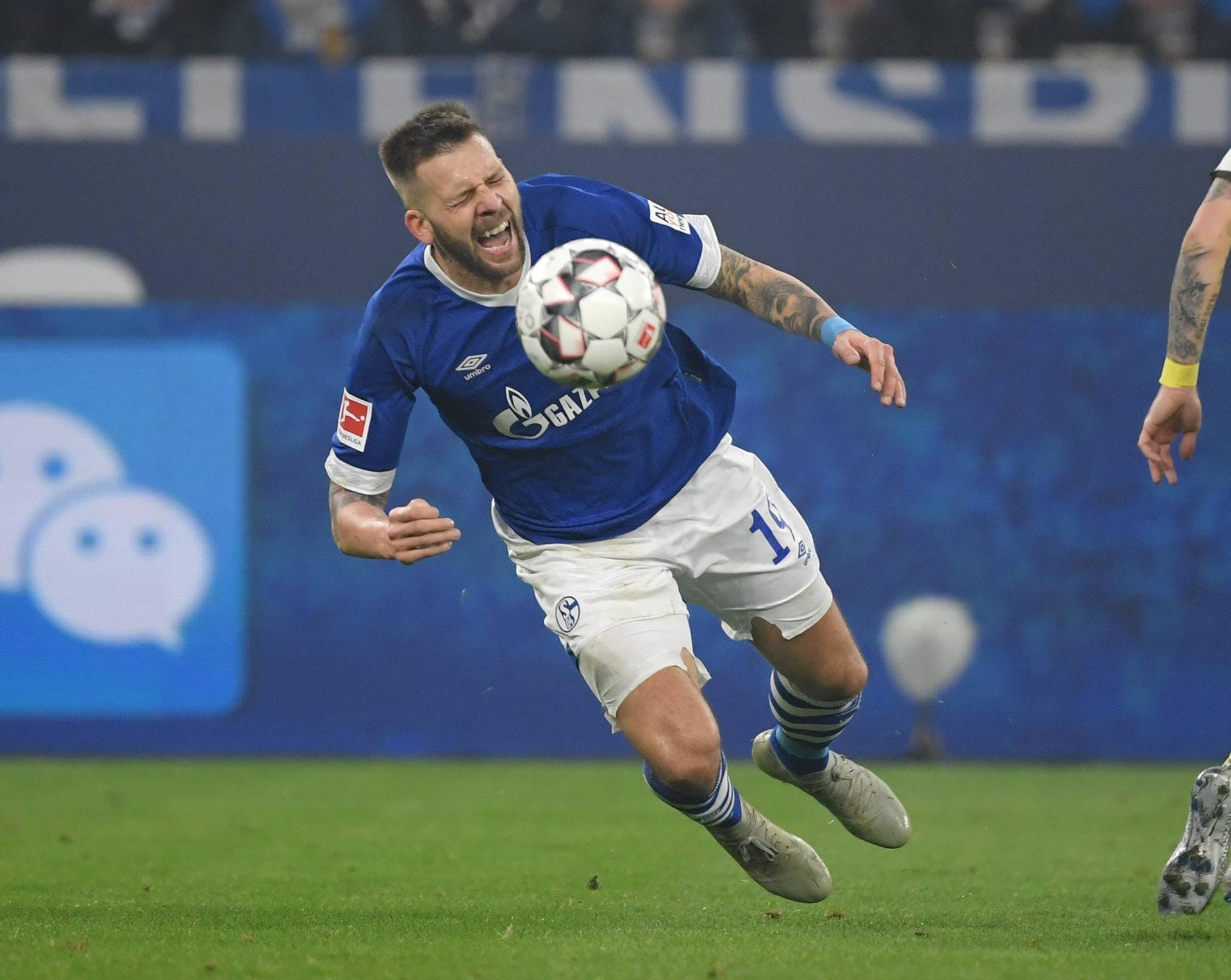 Schalkes Guido Burgstaller fällt mit schmerzverzerrtem Gesicht zu Boden.