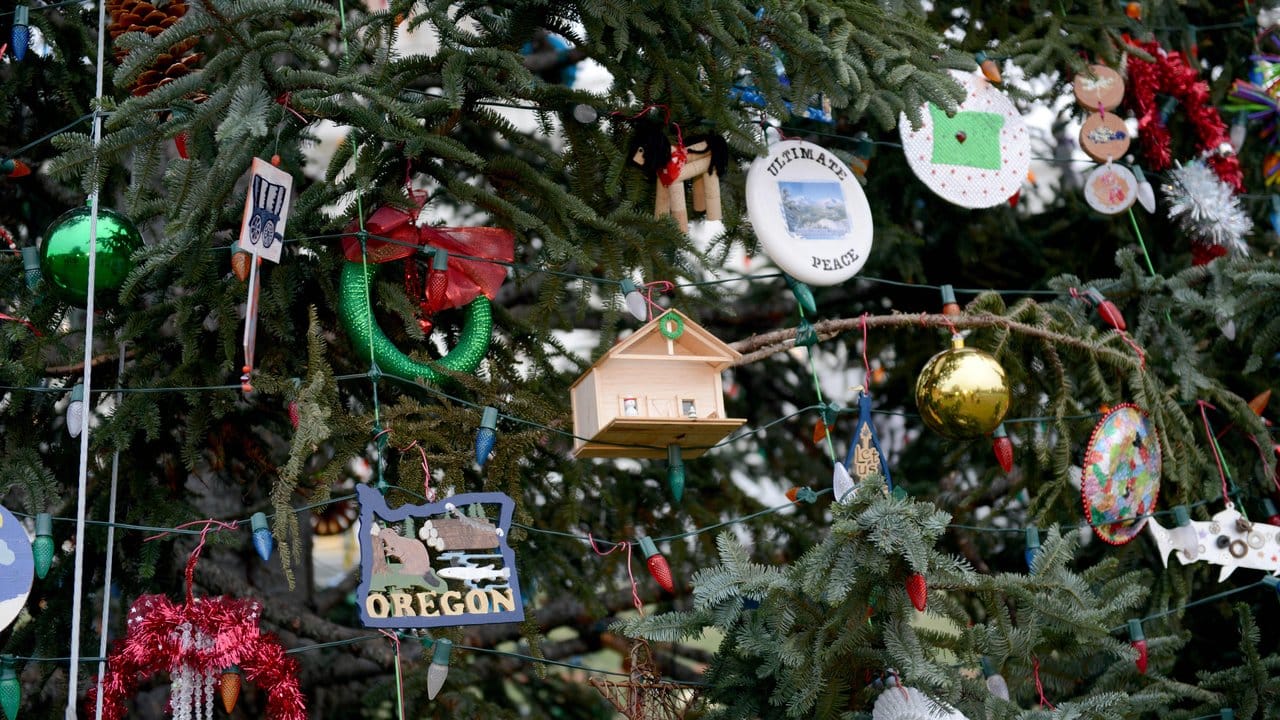 Zahlreiche Ornamente hängen am reich geschmückten Weihnachtsbaum vor dem Kapitol.
