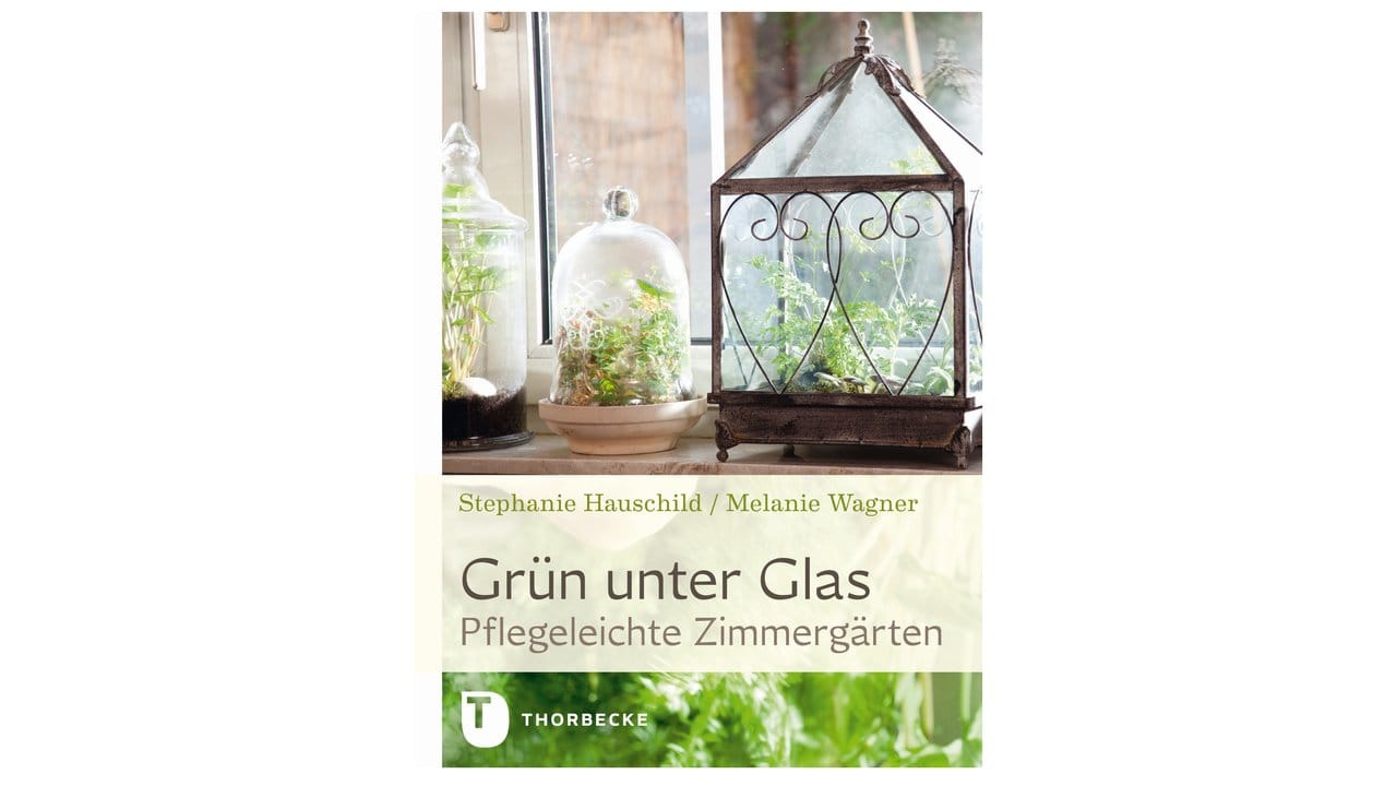 Stephanie Hauschild, Melanie Wagner, Christina Kratzenberg: Grün unter Glas.