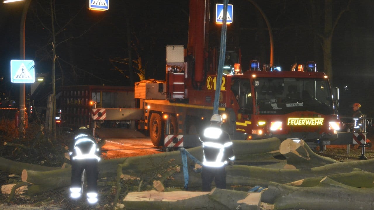 Feuerwehrleute beseitigen zwei umgefallene Bäume in Hamburg.