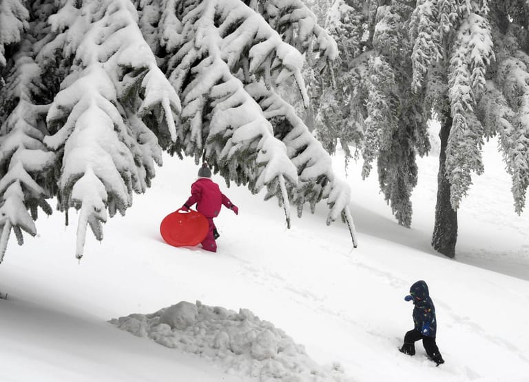 Schneespaß für Kinder im Schwarzwald an einem Rodelhügel.
