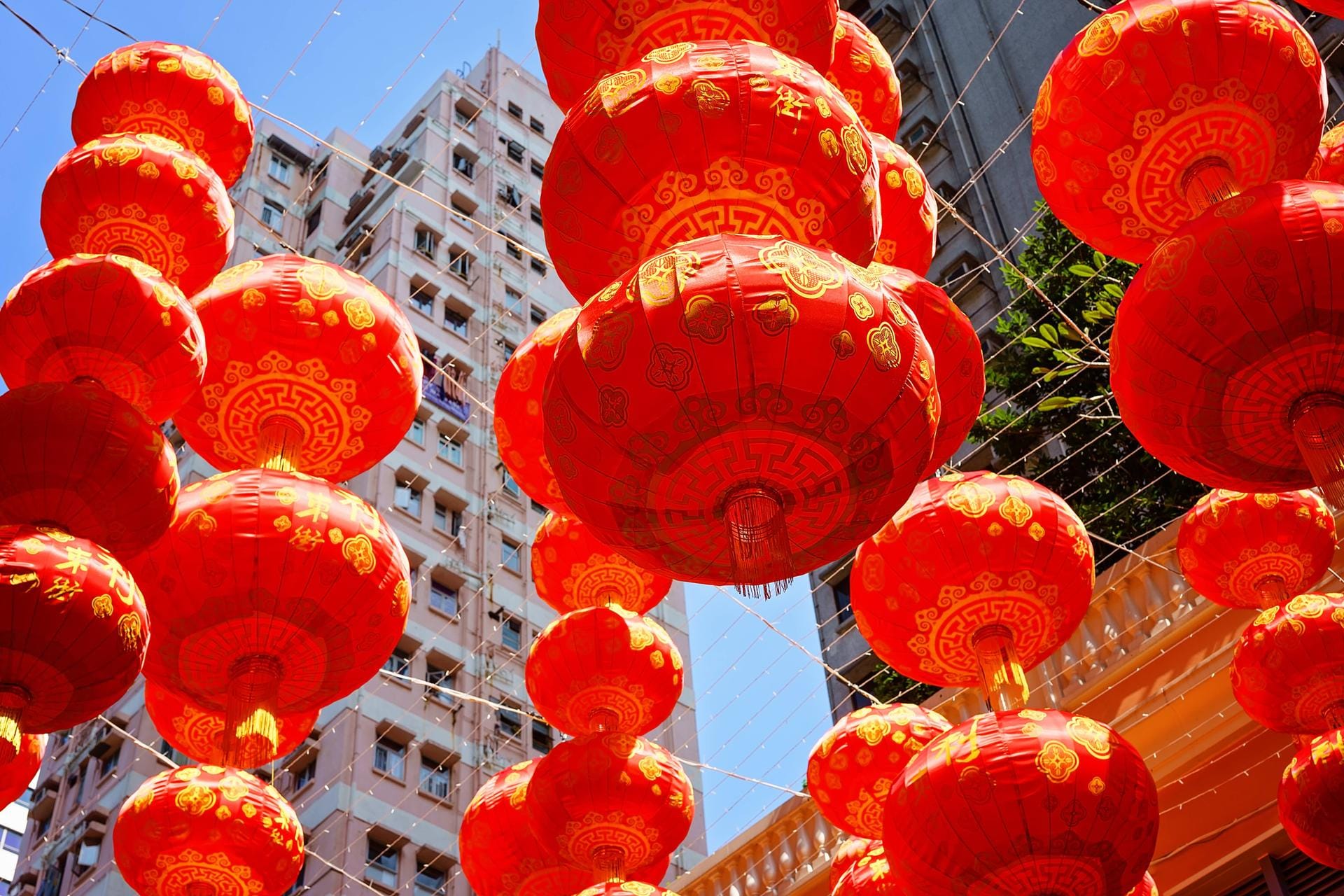 Rote Lampions sind typisch für das Chinesische Neujahrsfest. Sie schmücken Straßen und Häuser und sollen böse Monster vertreiben.