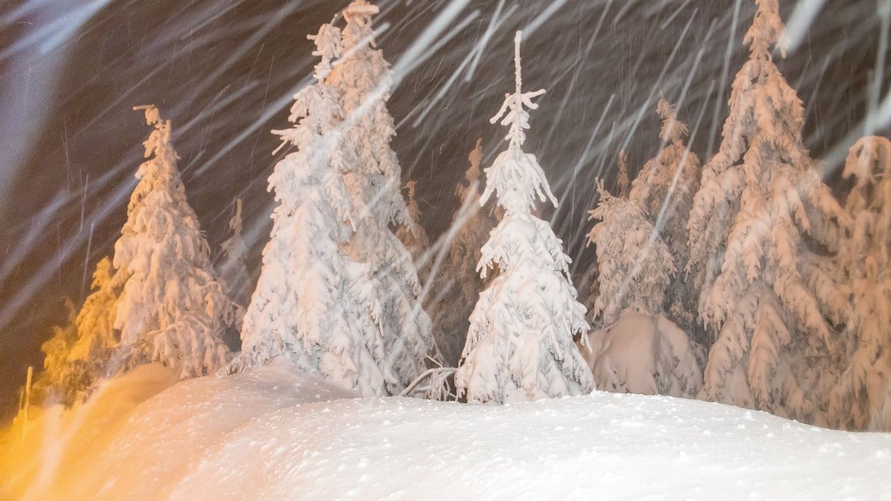Tief verschneiter Wald auf dem Fichtelberg: Tief "Benjamin" brachte gewaltige Schneemassen ins Erzgebirge.