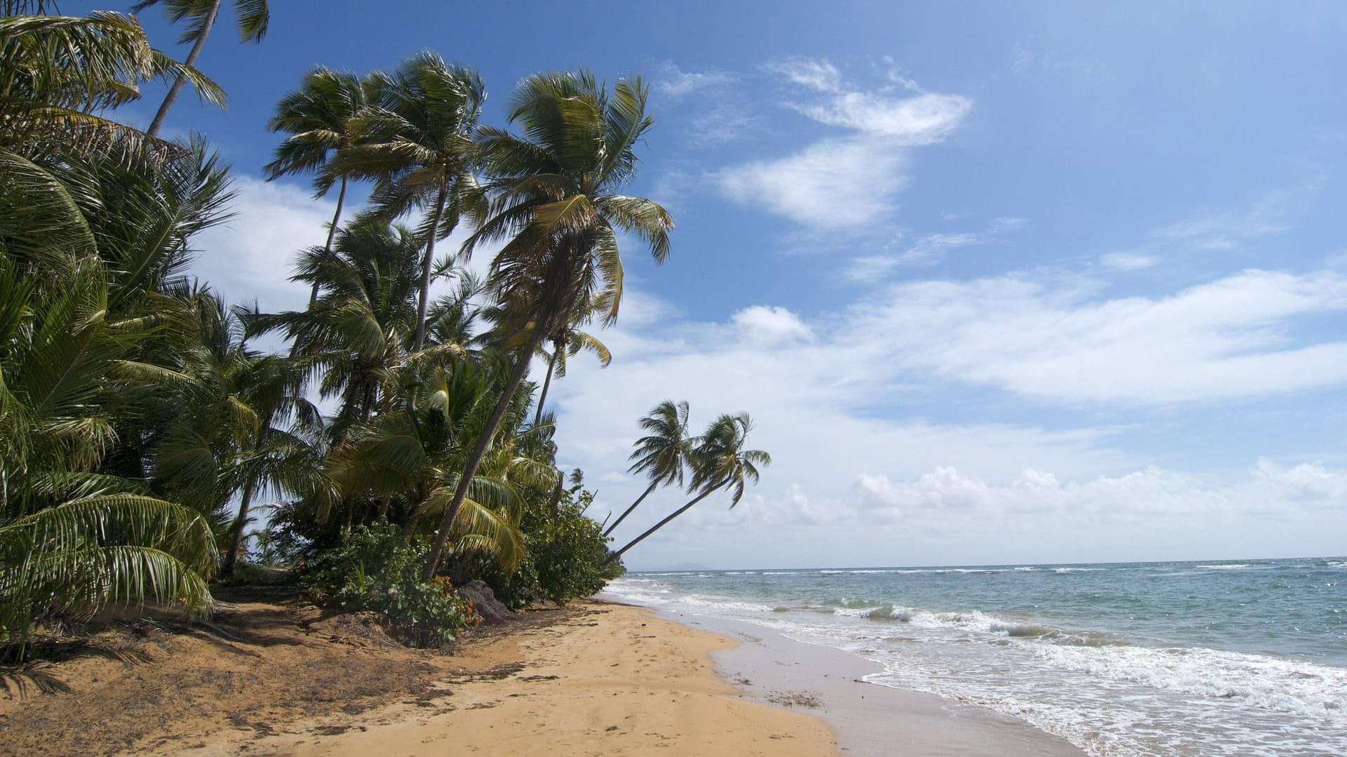 Der Hurrikan Maria hat 2017 starke Schäden auf der Karibikinsel Puerto Rico verursacht.