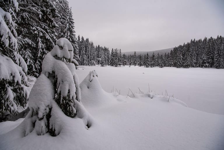 Winter in Bayern - Fichtelgebirge