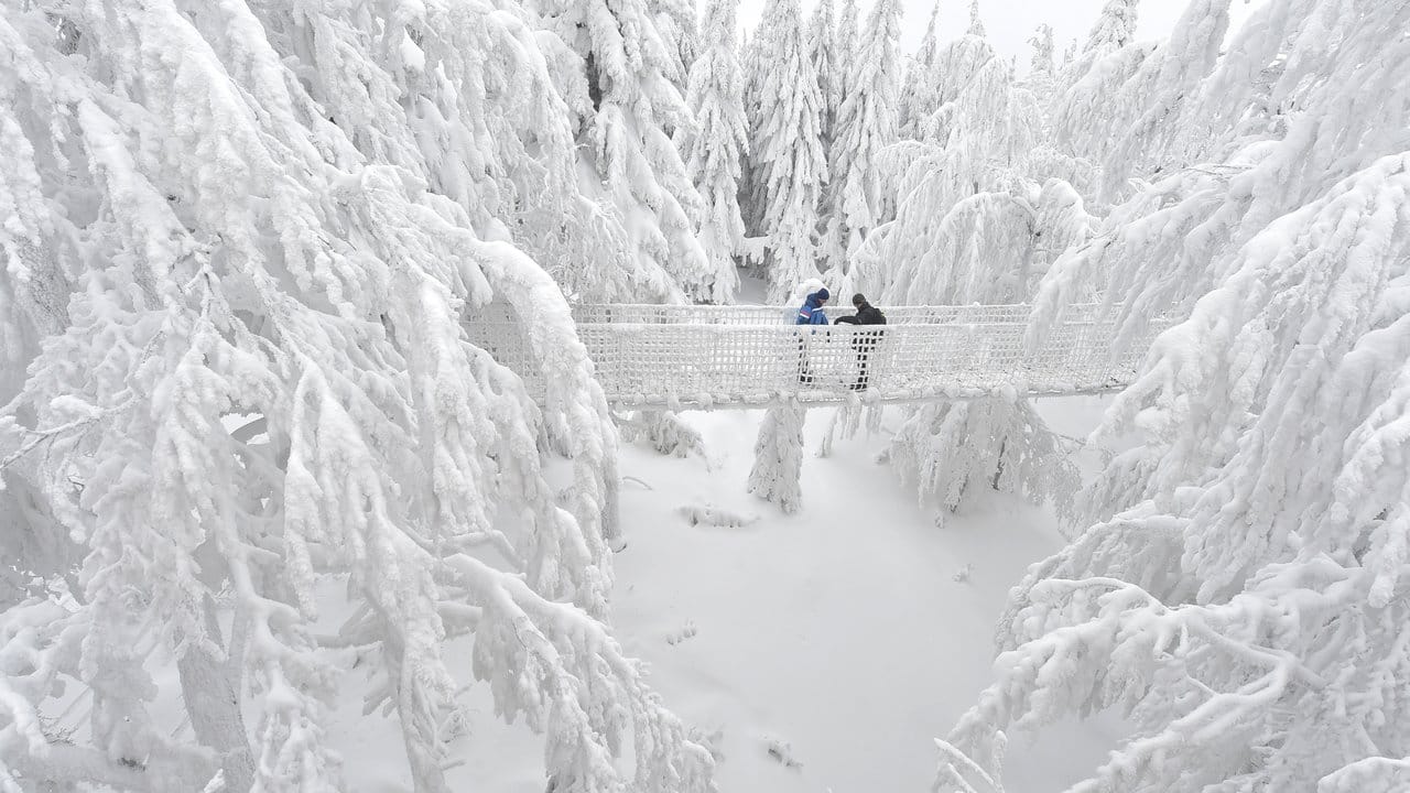 Die verschneiten Nadelbäume des Beskydy-Gebirges in Tschechien präsentieren sich als weißes Wintermärchen.