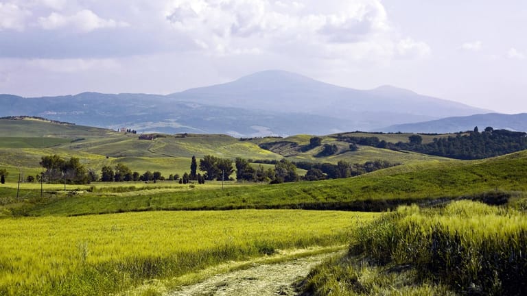Monte Amiata: Heiße Quellen und Geysire weisen auf den vulkanischen Ursprung des Bergs hin.