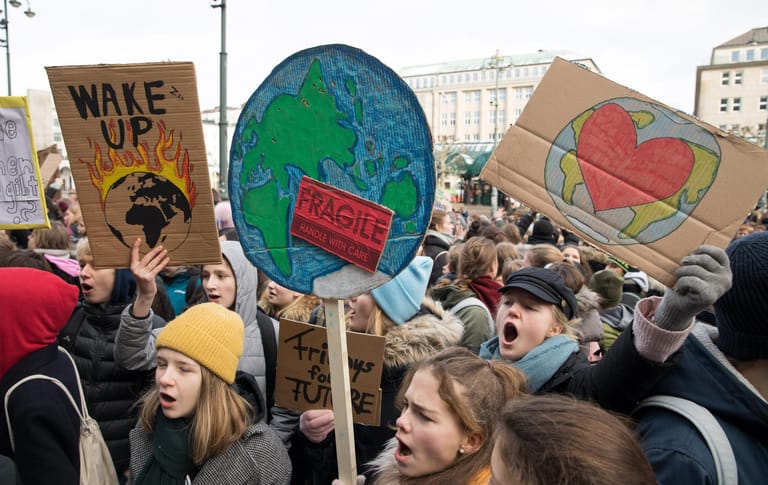 Viele Teilnehmer hatten wie hier in Hamburg Plakate mit Motiven rund um unseren Planeten gebastelt.
