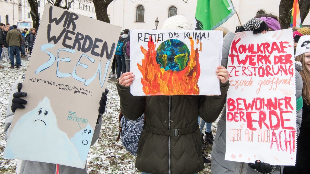 "Wir werden Seen" - Selbstgemalte Plakate beim Protest in München.