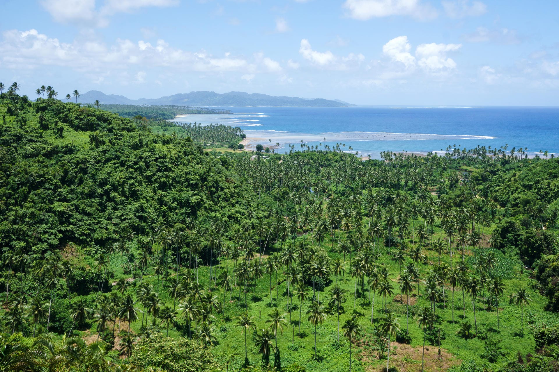 Blick über die Insel Taveuni: Die Insel Taveuni gehört zu Fidschi.