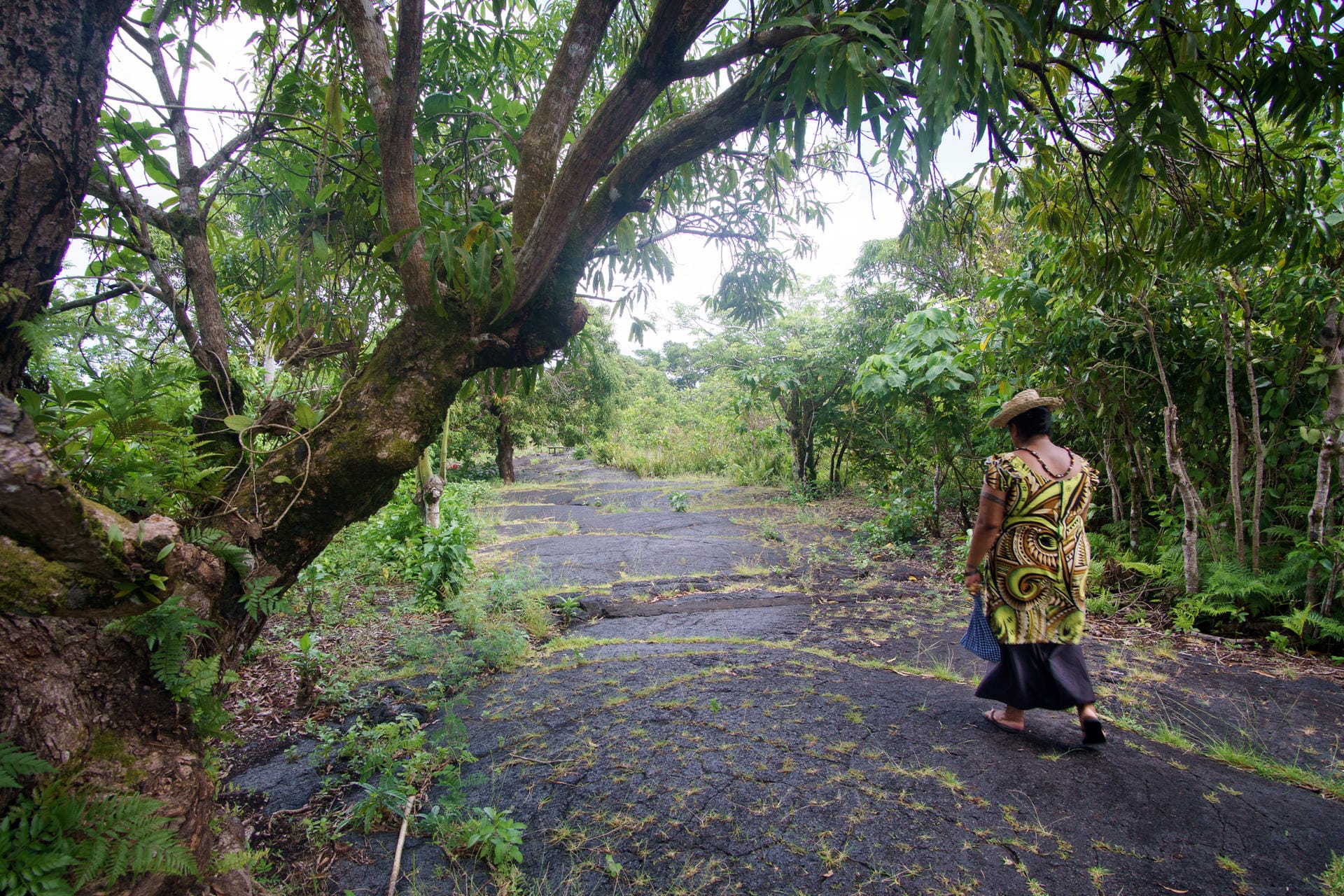 Frau geht auf Lavafeld: Auf Samoas Insel Savai'i können Besucher über ein Lavafeld spazieren, das beim Ausbruch des Matavanu 1905 enstanden ist.
