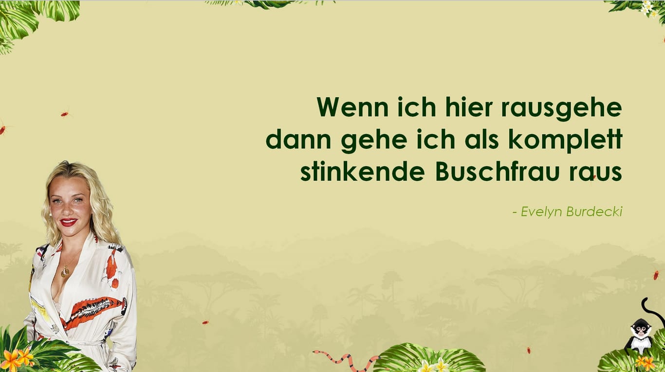 Die skurrilsten Sprüche aus dem Dschungelcamp 2019