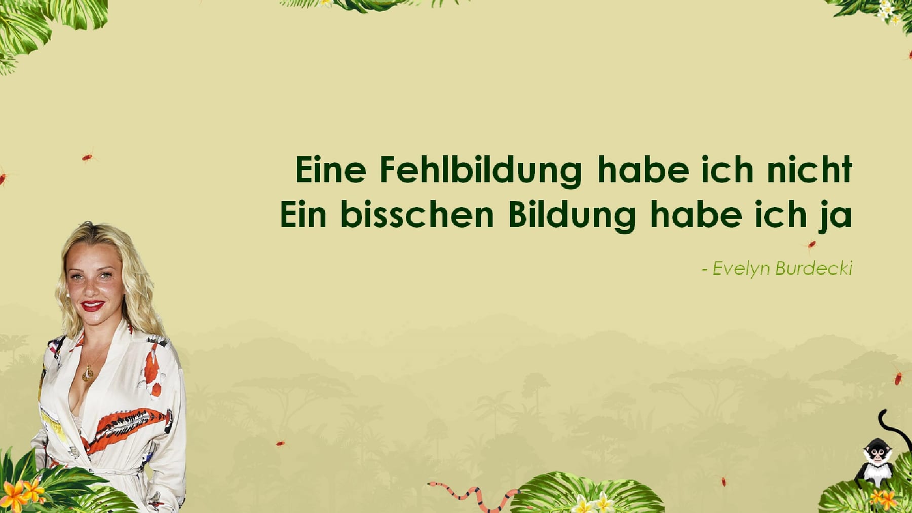 Die skurrilsten Sprüche aus dem Dschungelcamp 2019