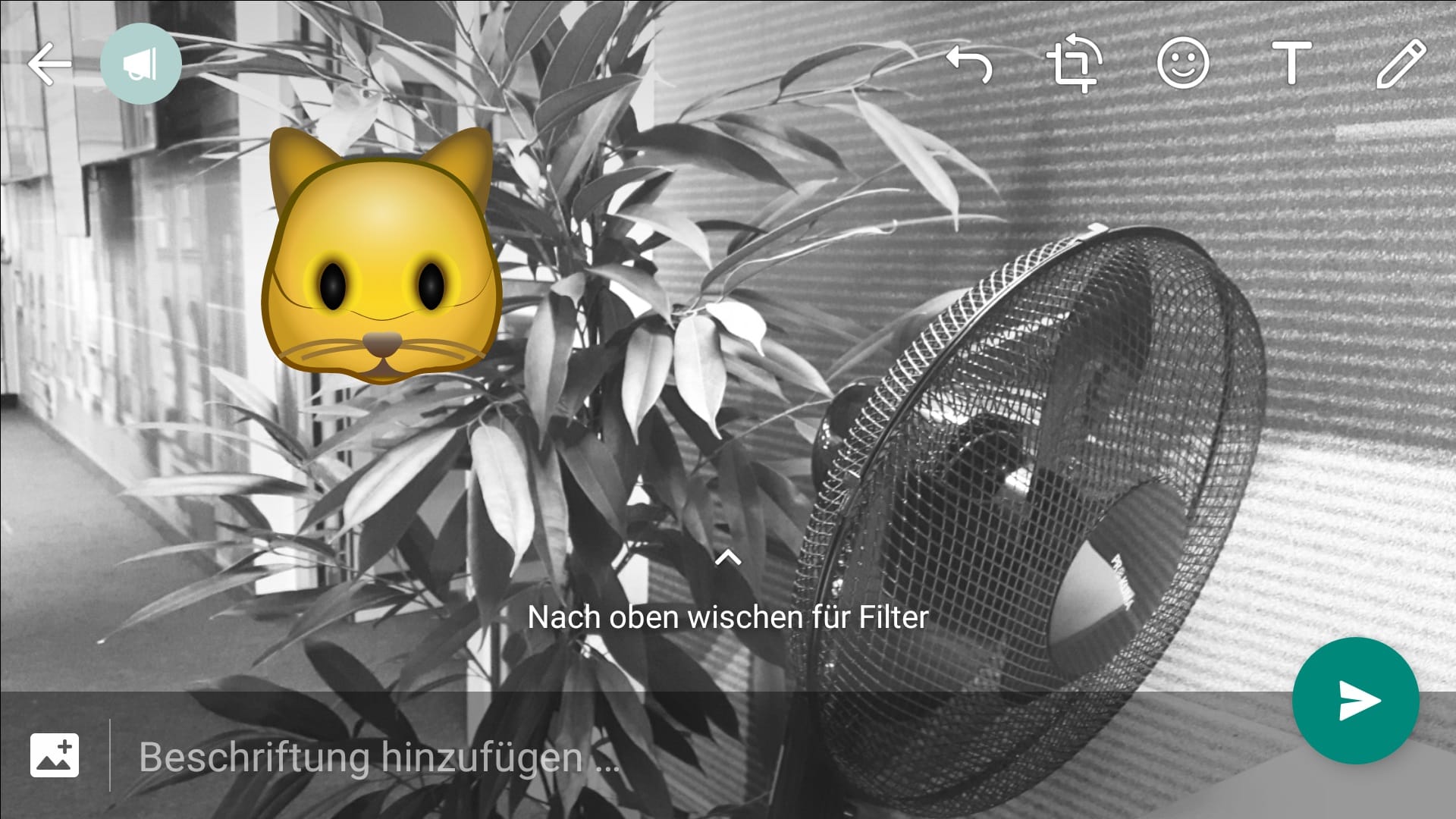 Das Foto wurde beispielsweise mit einem Graufilter und einem Emoji bearbeitet.