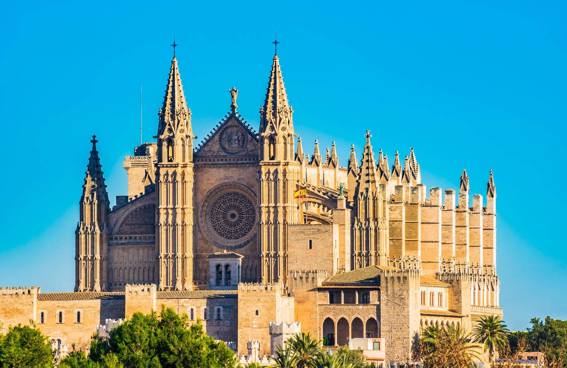 Kathedrale "La Seu": In der Kathedrale "La Seu" können Sie die größte gotische Fensterrose der Welt sehen.