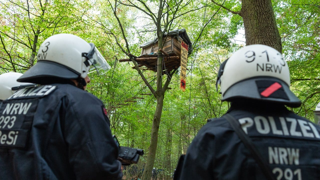 Im September 2018 erreichten die Proteste ihren Höhepunkt: Polizisten vor einem Baumhaus im Hambacher Forst.