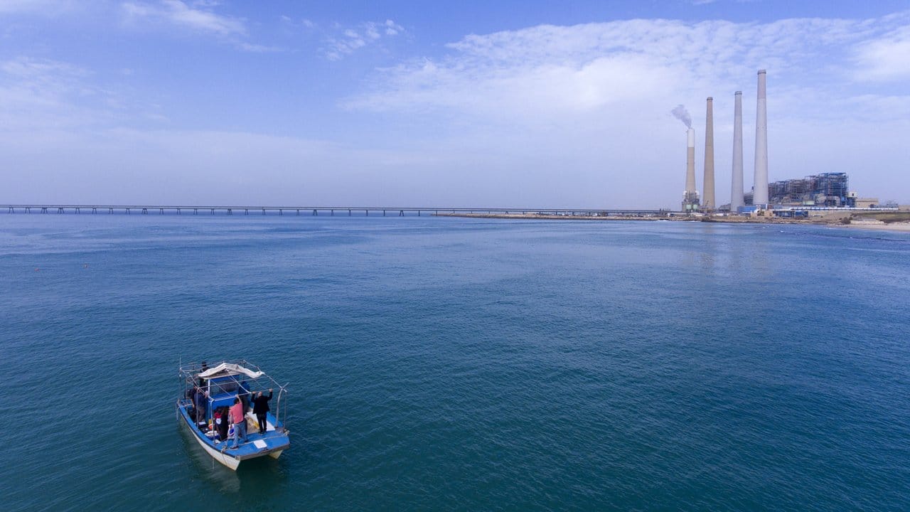 Forscher suchen vor der Küste der nordisraelischen Stadt Chadera in der Nähe eines Kraftwerkes nach Haien im Mittelmeer.