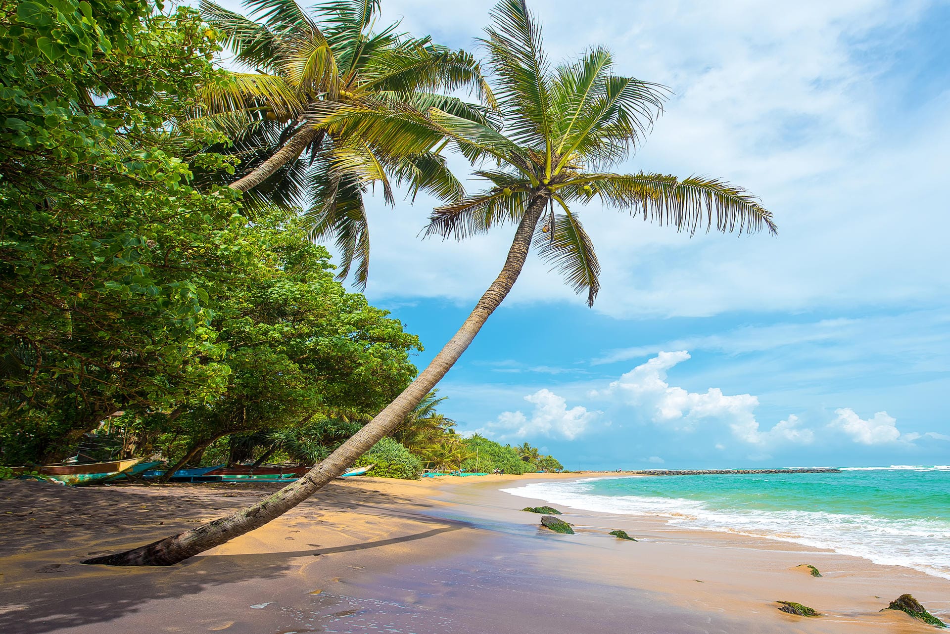 Mirissa Beach in Sri Lanka: In Sri Lanka können Urlauber günstiger entspannen, denn der Euro verzeichnet einen Wertzuwachs von 37,3 Prozent gegenüber der Sri-Lanka-Rupie.