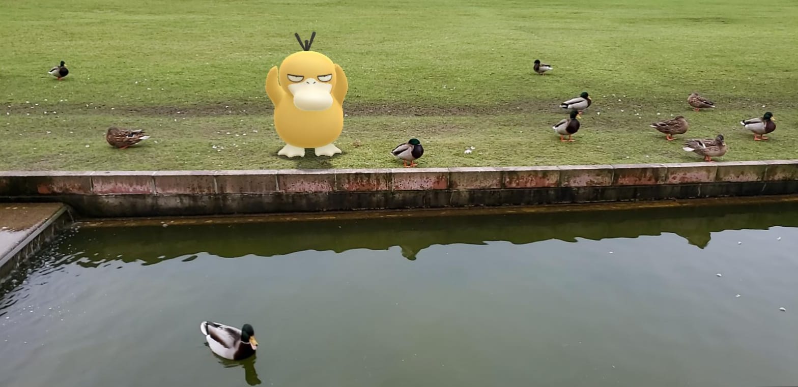 Ein Enton steht vor einem See mit Enten.