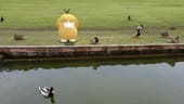 Ein Enton steht vor einem See mit Enten.